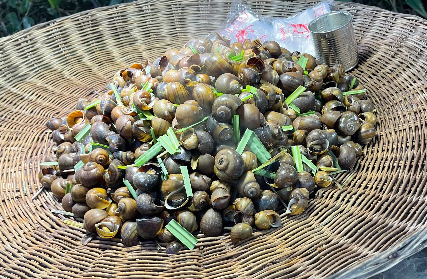 Siem Reap Street Food Tour