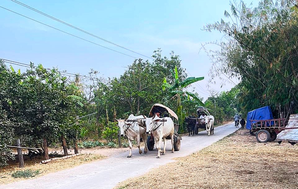 Koh Trong Island Kratie