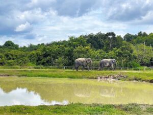 Lumpat Wildlife Sanctuary