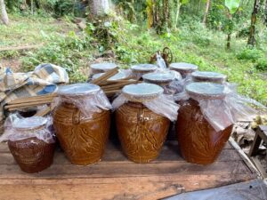 Mondulkiri Wine
