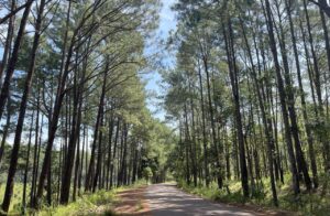 Kirirom Kampong Speu