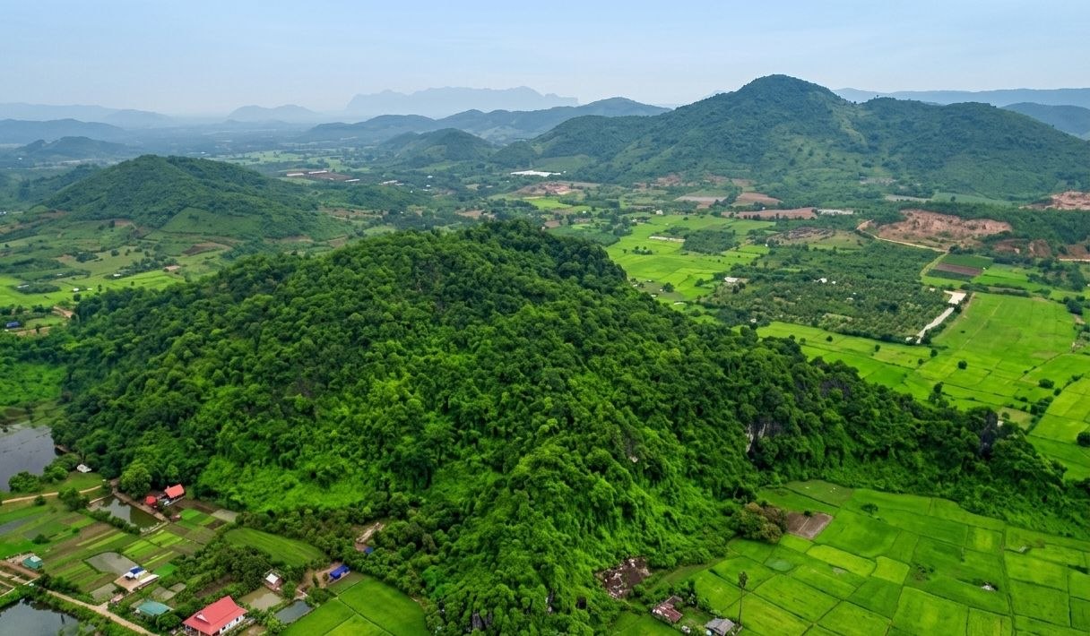 Memang Gold Mines Area